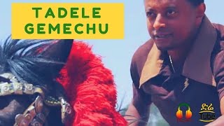 ETHIOPIA: Tadele Gemechu - BarriHindarba [Ethiopian Music  2017]