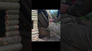 Built a house on the ground ! #survival,#bushcraft ,#bushcraftsurvival,#survivalshelter #outdoors