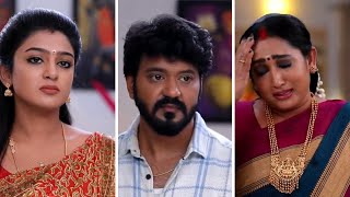 Nee Naan Kaadhal | Episode Promo | 29th January 2025