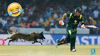 TOP 10 Funniest Animals Attacks on Players in Cricket History of All Time | Cricket Latest 2017