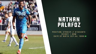 Nathan Palafoz | Striker // Atacante