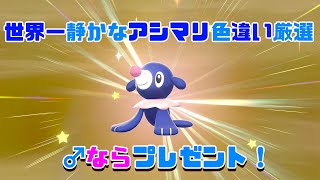 【色違い孵化日記】世界一静かなアシマリ厳選【♂ならプレゼント！】