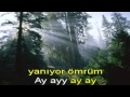 Ahmet Kaya Söyle karaoke