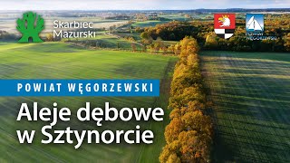 Powiat Węgorzewski - Aleje dębowe w Sztynorcie