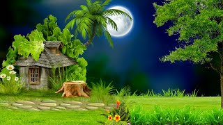 4K Nature Background hd || nature background template