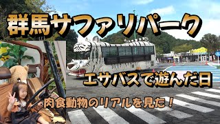 【群馬サファリパーク】エサバスに乗って肉食動物のリアルを見てきた日♪