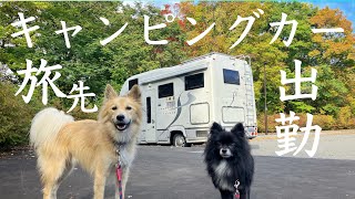 キャンピングカー出勤⁈働きながら洞爺湖を満喫！【秋の洞爺湖アルバイト車中泊生活③】