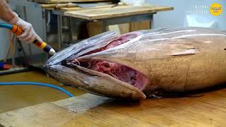 200kg 참치 해체 참치 손질 작업 / 김씨마구로 giant tuna grooming