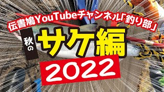 伝書鳩YouTubeチャンネル　釣り部　サケ編　秋の銀ピカまつり！2022