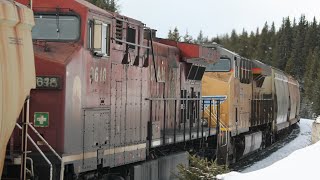 UP AC45CCTE \u0026 CP RCMP Unit!!!! Canadian Pacific Potash (CP 603) West at Storm Mountain, AB!