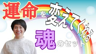 学びを与えてくれる運命の人 マヤ暦【KIN 24】黄色い種 白い魔法使い 音11 開運ポイント