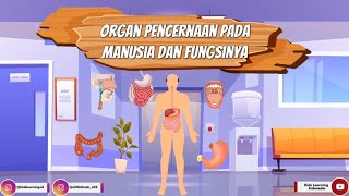 Sistem Organ Pencernaan Pada Manusia (Fungsi Organ & Mekanisme/Proses Pencernaan Makanan) Materi IPA