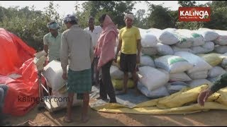 800 Farmers Account Credited Twice Due To Technical Glitch In Subarnapur