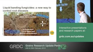Agribusiness Crop Updates 2015 | Perth | Innovations in Rhizoctonia control - Hüberli & Stead