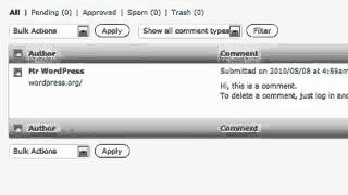 WP Comments - WordPress Basics Video Tutorial