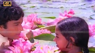 ஆயிரம் தாமரை மொட்டுகளே பாடல் | aayiram thamarai mottukkale song | Janaki | Spb | Karthik, Radha Song