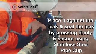 C-SMARTSEAL | Steam Leak Repair Demonstration