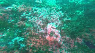 Scuba Diving the Yukon and Ruby E
