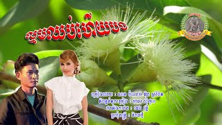 ២៨៨. ល្មមឈប់ហើយបង​ ​ច្រៀងដោយៈ ណន ចំណាន .​​ អ៊ិត ស្រីពីន និពន្ធទំនុកច្រៀងៈ មាស ស៊ីថុល