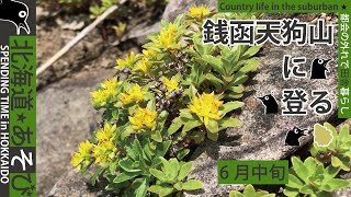 銭函天狗山_小樽市_ハイキング