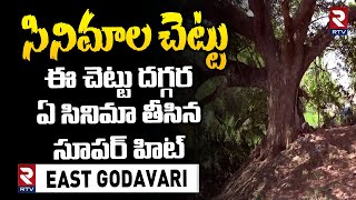 ఈ చెట్టు దగ్గర ఏ సినిమా తీసిన సూపర్ హిట్ | History Of Cinema Chettu | East Godavari | RTV