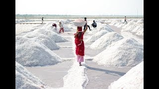 Let's understand the procedure of #salt making in #Gujarat | जानिए आखिर कैसे बनता है नमक. #India