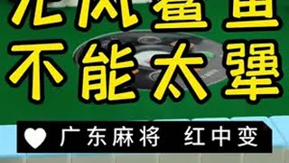 同人不同命…… 广东麻将 麻将治百病 红中麻将