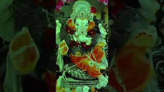 🙏mere sarkar Aaye Hain 🙏 jay Shri Ganesh 🙏#short #youtube