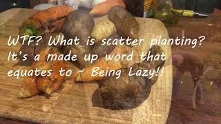 Scatter Planting