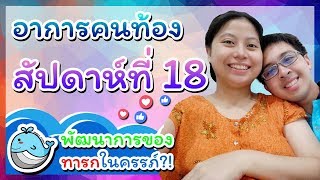 อาการคนท้องสัปดาห์ที่ 18: แม่ท้องควรกินน้ำวันละ 3 ลิตร!? | พัฒนาการลูกในท้อง | Whale Family