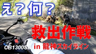 【バイク動画】CB1300SB  /  龍神スカイライン  /  野生のクマタカ救出作戦