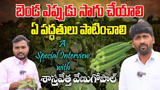 Lady Finger Cultivation in Telugu || Okra Farming || Bhendi(Bhindi) Farming || Evusam Tv || ఎవుసం Tv