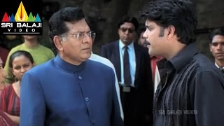 Nenunnanu Telugu Movie Part 11/13 | Nagarjuna, Aarti Aggarwal, Shriya | Sri Balaji Video