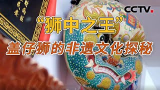 《地理·中国》 20250206 春节特别节目·年俗乡情2 | CCTV科教