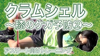 クラムシェル｜膝の怪我予防トレーニング②〜アスリート向けトレーニング配信中〜