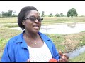 Dziko la Mkaka ndi Uchi -  2 December 2021