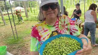 Hops festival at the fir farm colts neck NJ august 2022