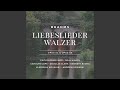 Liebeslieder Walzer, Op. 52: XVI. Ein dunkeler Schacht ist Liebe. Lebhaft