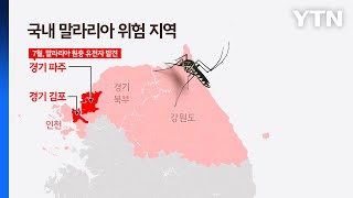 폭염·폭우 지나고 온 말라리아 모기...국내 첫 경보 [앵커리포트] / YTN