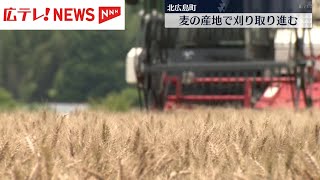 黄金色の麦を刈り取り　広島・北広島町