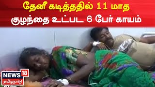 Hosur | கோவிலில் தேனீ கடித்ததில் 11 மாத குழந்தை உட்பட 6 பேர் காயம் | Tamil News