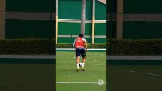 Palmeiras hoje - Gol de Raphael Veiga no treino para o jogo Palmeiras x Ituano Paulistão 2023