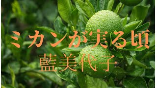 素晴らしい曲と素敵な歌声に感動です！🍊 ♪ミカンが実る頃　藍美代子　[ HD ]