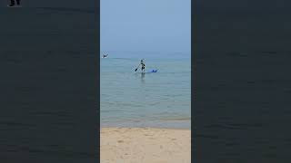 #surf 처음타보는 #패들보드  Paddleboarding  🏄‍♂️