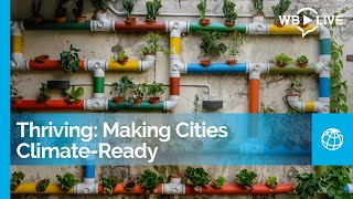 Thriving: Making Cities Climate-Ready