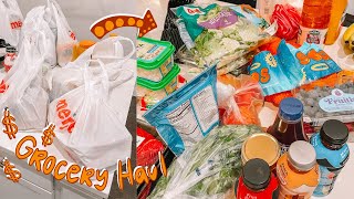 FRIDGE RESTOCK!! Come Grocery Shopping With Me! | vlogmas day 21