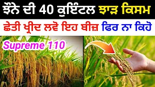 supreme 110 paddy variety | supreme 110 paddy seed | ਸੁਪਰੀਮ 110 ਝੋਨੇ ਟੋਪ ਦੀ ਕਿਸਮ | @agriadvice