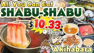Akihabara Tokyo / Japonya'da Yiyebileceğiniz Her Şey Shabu Shabu Büfesi