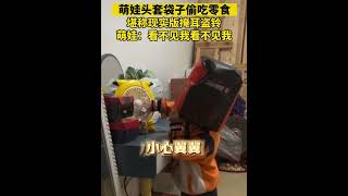 搞笑！萌娃头顶袋子偷吃零食，爸爸：你觉得我们看不见你？