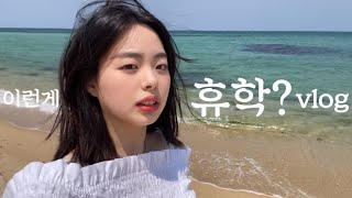 휴학•스타트업대표 vlog. 약올리려는건 아니에요,, 🫥 | 회사 디자인브랜드 택배 포장 | 강릉 당일치기 | 스냅촬영 🌺 | 한양대 동방 | 냅다 힐링하기